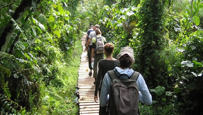 Kibale Forest