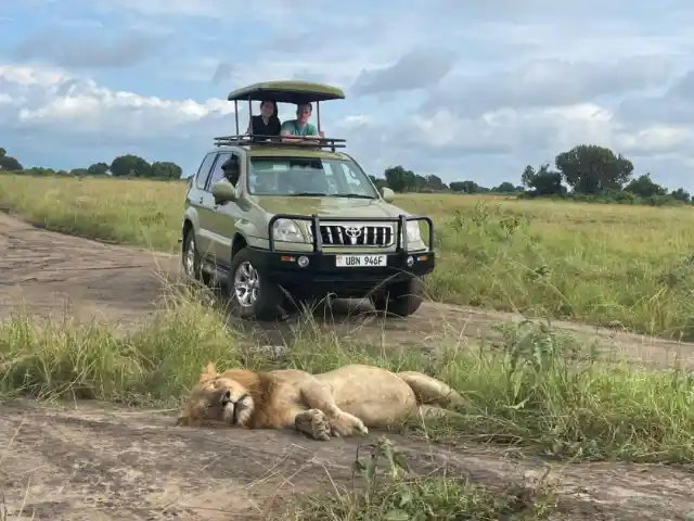 Uganda Safari 2026: The Complete Guide to Planning Your Trip.