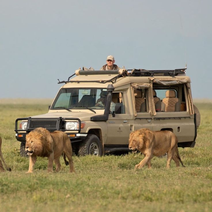 14-day epic Kenya and Tanzania safari trip